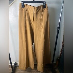 Women pants Lane Bryant size 20